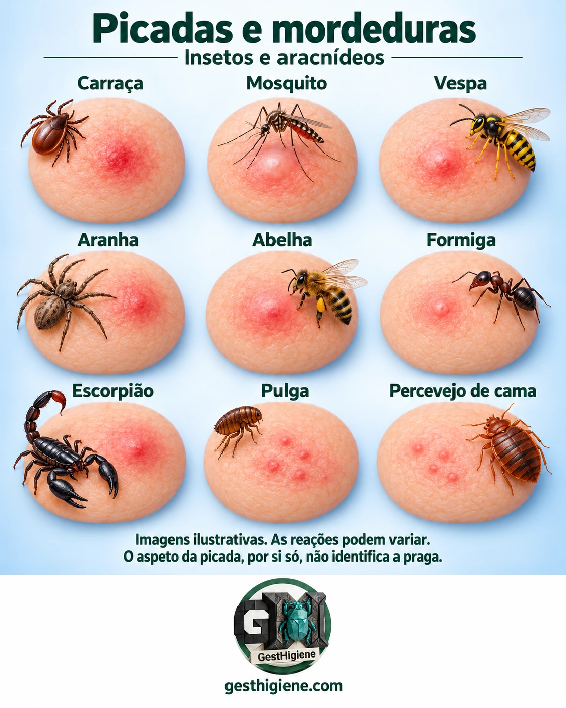 Guia ilustrativo GestHigiene com exemplos de picadas e mordeduras de insetos e aracnídeos.